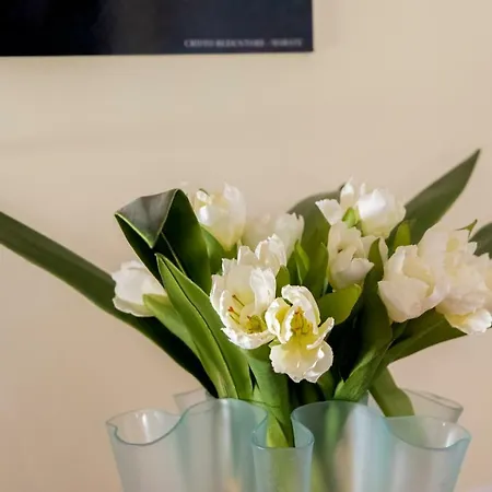 Borgo Marinella 4* 萨普里